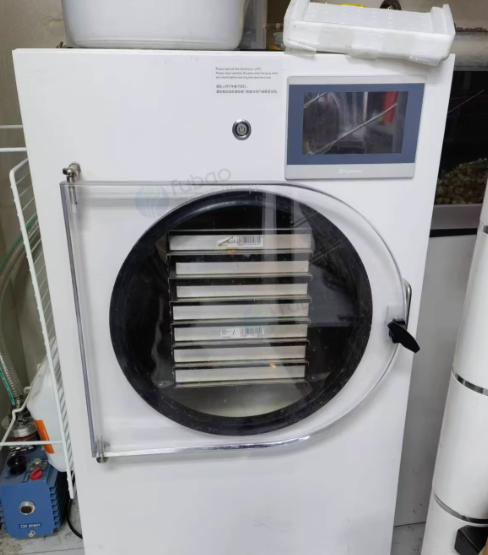 西宁市地区处理0.6平方真空冷冻干燥机