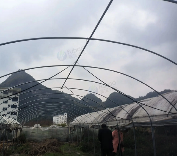 百色地区处理镀锌钢管大棚