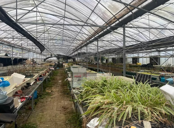 绍兴地区处理4个连栋大棚