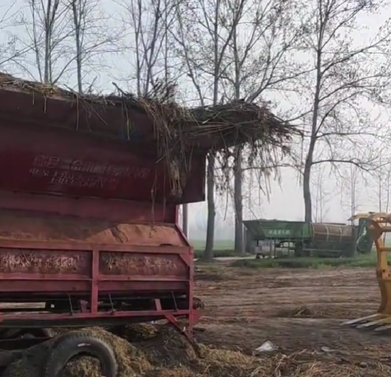 周口市地区处理辣椒杆粉碎机