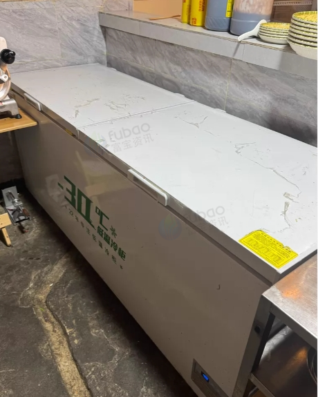 成都市地区处理大容量商用卧式低温冰柜