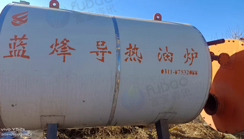 石家庄市地区处理0.5吨导热油锅炉