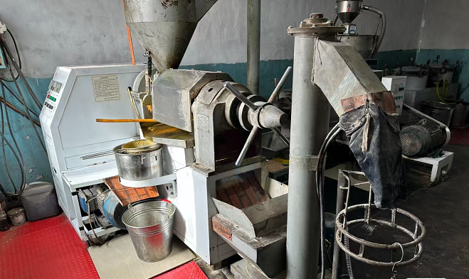 松原地区个人处理油炸设备