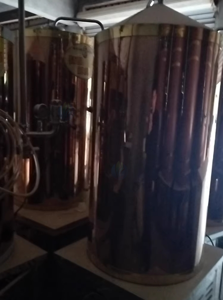 资阳市地区处理精酿啤酒售酒机100L发酵罐7台