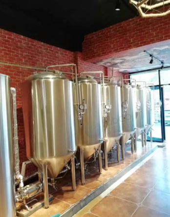 东营市地区个人处理600升精酿啤酒设备