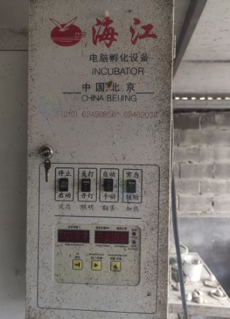 泰安市地区处理海江孵化器