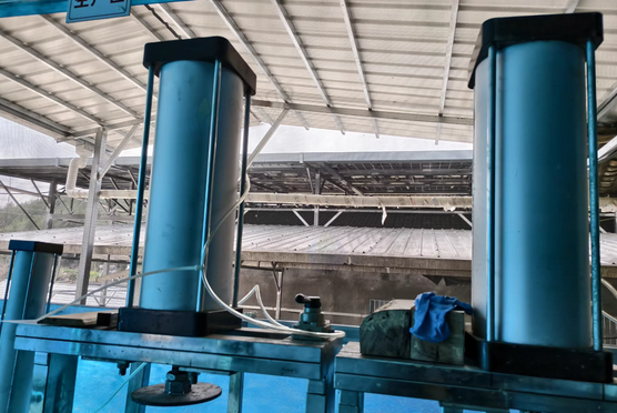 恩施地区处理豆腐机全套设备