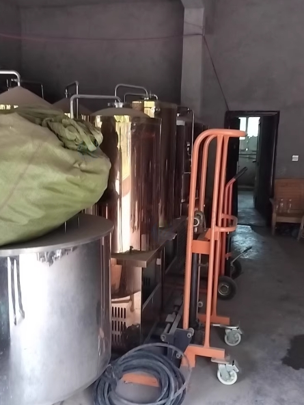 资阳市地区处理精酿啤酒售酒机100L发酵罐7台