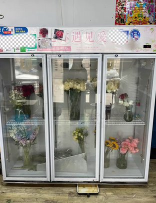沈阳地区处理乐创鲜花展示柜