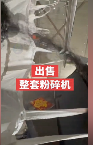 泰州市地区工厂处理100型山东临沂花刀粉碎机、绞龙、脱水甩干机、吸铁机一套