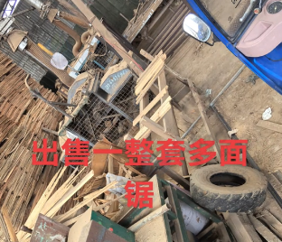 柳州地区木业公司处理整套多面锯设备