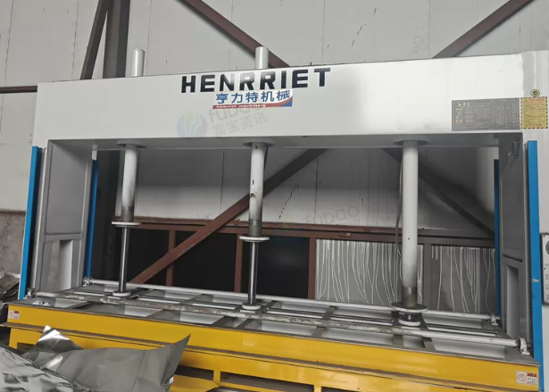 金华地区处理亨力特HENRRIET冷压机