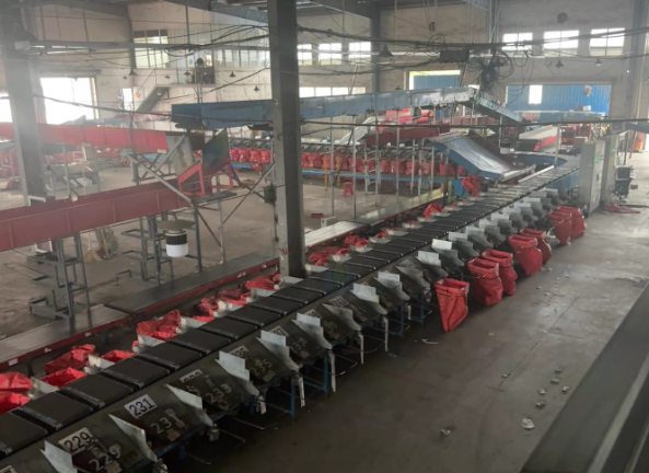 镇江市地区工厂处理自动化流水线设备