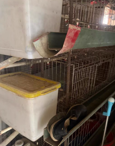 秦皇岛市地区处理蛋鸡养殖场全套设备