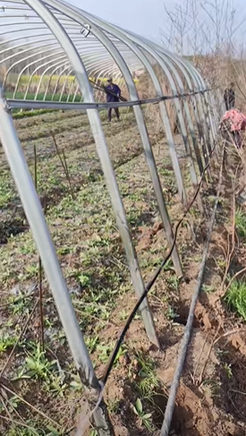 荆州地区个人转行处理钢管大棚