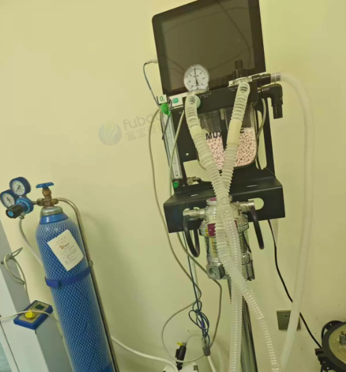 西宁市地区处理宠物医院设备一套