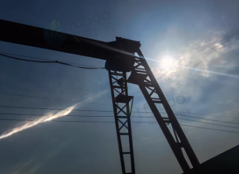 枣庄市地区公司处理5吨龙门吊