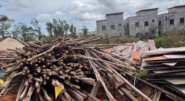 湛江市地区处理一批顶木