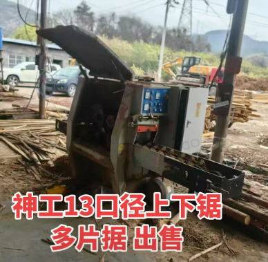 百色地区木业公司处理多片锯、切割机、断料机等