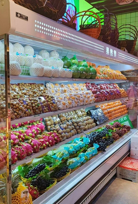 重庆地区自用处理水果风冷柜