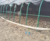 张家口地区处理10米*20米大棚、活动房2间