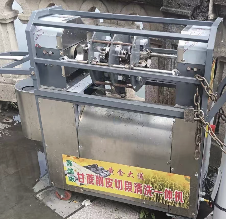 达州市地区处理甘蔗削皮机