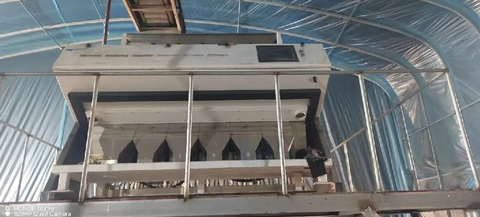 烟台市地区处理美亚色选机