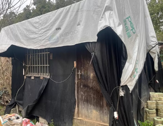 绍兴地区处理4个连栋大棚