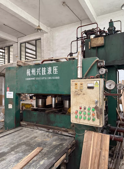 丽水地区处理兴佳单板压机
