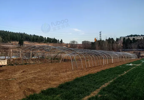 淄博市地区处理大棚全部材料