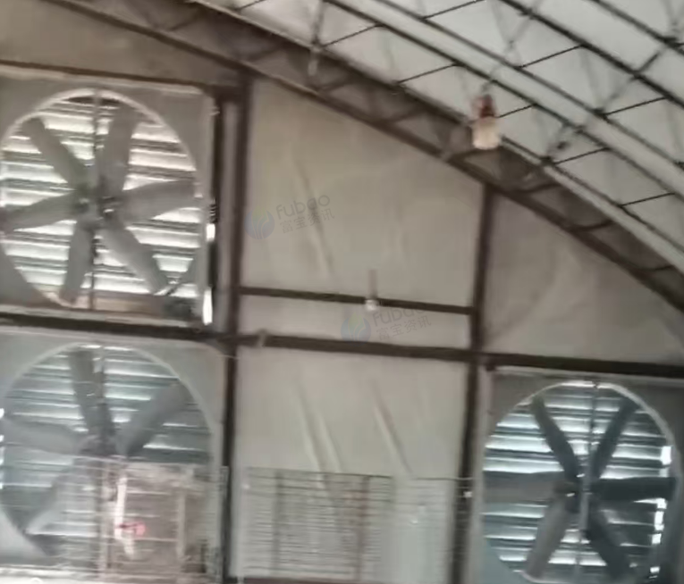 长春市地区处理换气风机