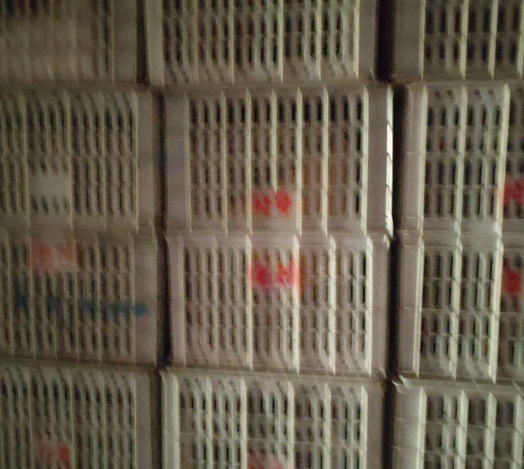 徐州地区处理塑料筐五六百个