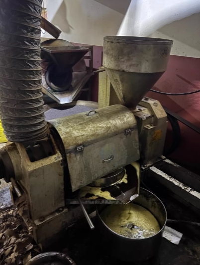 铜仁地区个人处理型榨油机自家榨油坊