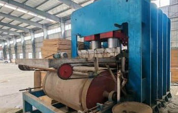 驻马店市地区处理制板压力机