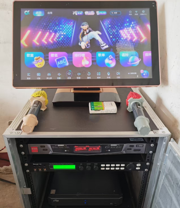 衡阳市地区店铺处理KTV专用音响设备一套