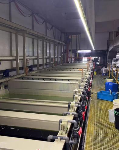 镇江市地区工厂处理电镀生产线2条