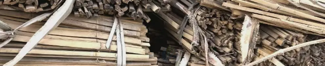 榆林市地区处理60000多根竹条子