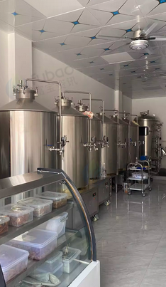 南宁市地区处理精酿啤酒店设备