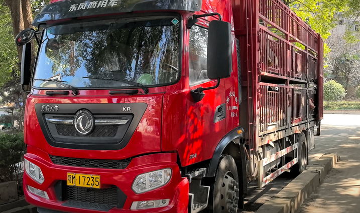 荆州市地区个人处理6米2猪笼车