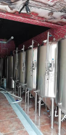 东营市地区个人处理600升精酿啤酒设备