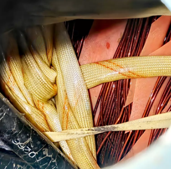 临沂市地区处理160千瓦电动机