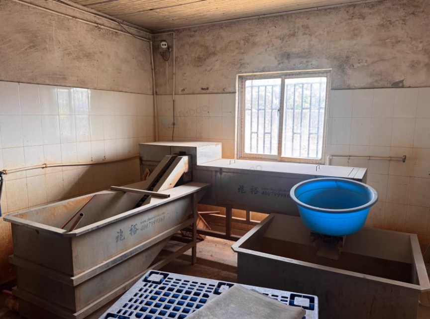 常州市地区工厂处理全自动洗蛋机