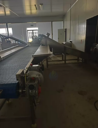邢台市地区处理全套清洗风干输送线
