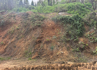 池州市地区处理4万方黄土