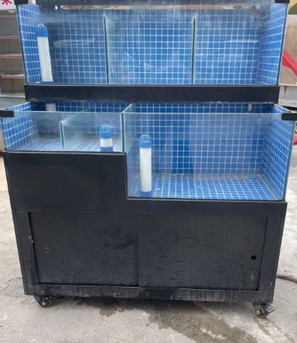 汕尾市地区处理制冷恒温海鲜池