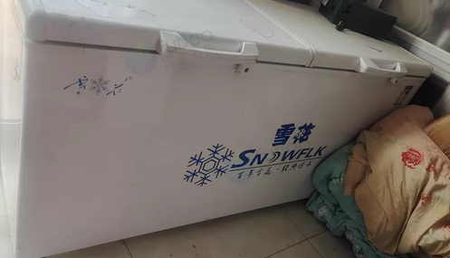 北京地区处理雪花卧式冰柜