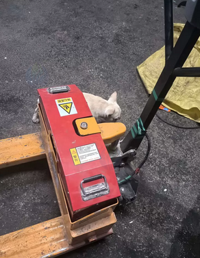 呼和浩特市地区处理洗地机、电地牛