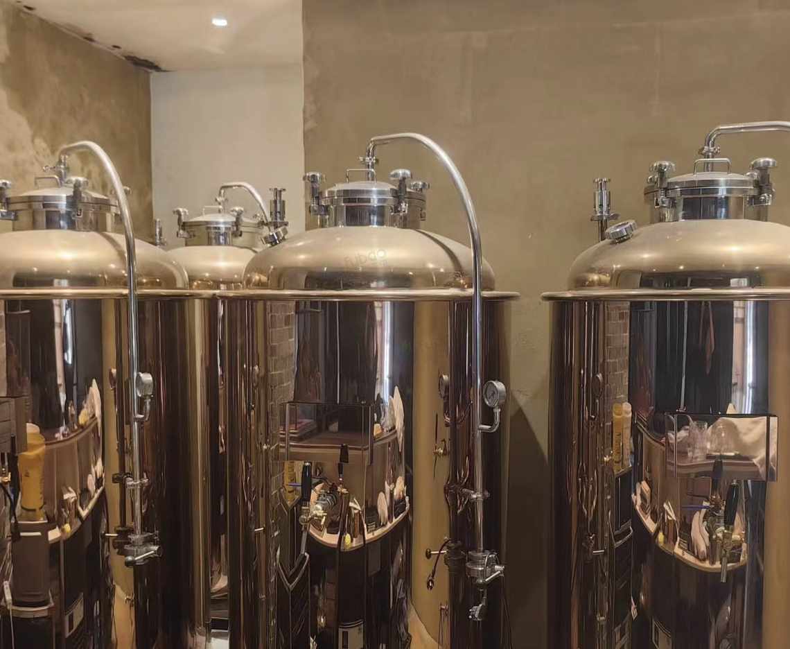 绵阳市地区处理精酿啤酒设备