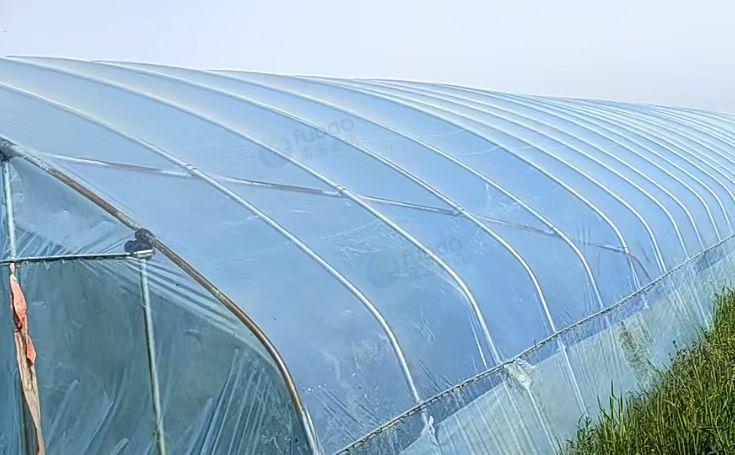 淮南市地区处理种植大棚管一批