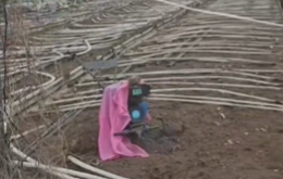 保山市地区不种了处理大棚材料